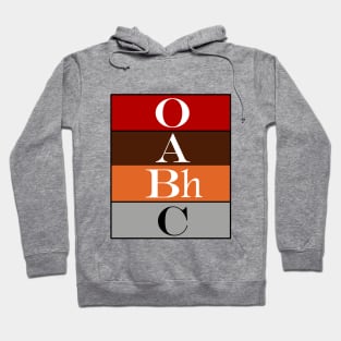 Stratigraphy Design Hoodie